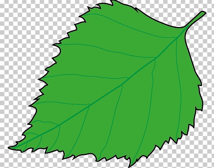 Leaf Plant Stem Tree PNG, Clipart, Flora, Grass, Green, Leaf, Line Free PNG Download