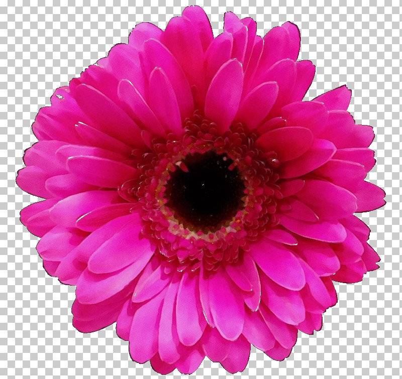 Flower Bouquet PNG, Clipart, Aster, Cheaper By The Dozen, Chrysanthemum, Cut Flowers, Dahlia Free PNG Download