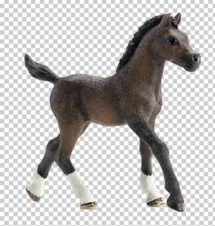 Arabian Horse Andalusian Horse Foal Stallion Mare PNG, Clipart, Andalusian Horse, Animal Figure, Arabian, Arabian Horse, Black Free PNG Download