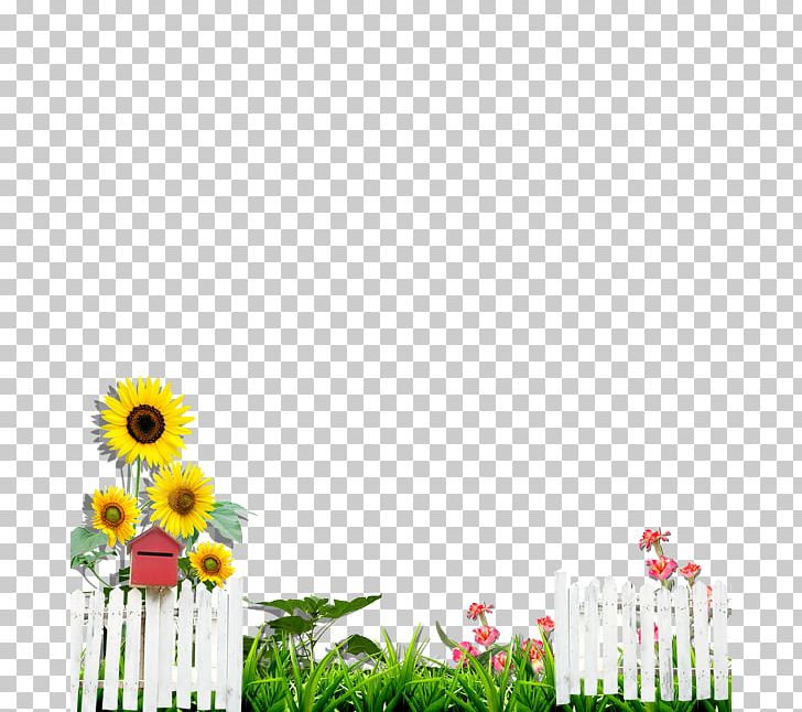 Garden Fence PNG, Clipart, Common Sunflower, Computer Wallpaper, Encapsulated Postscript, Fences, Fencing Free PNG Download