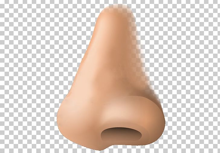 Human Nose Human Body PNG, Clipart, Animation, Body Human, Chin, Computer Icons, Download Free PNG Download