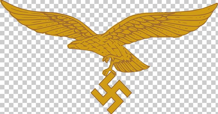 Germany German Air Force Army Wehrmacht PNG, Clipart, 0506147919, Air Force, Army, Beak, Bird Free PNG Download