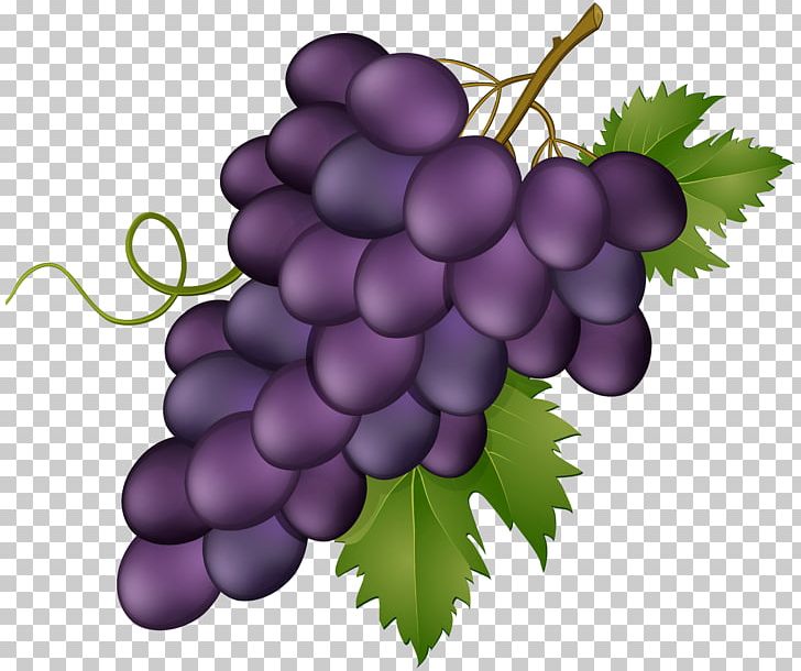 Grape Wine Portable Network Graphics PNG, Clipart, Download, Extract, Flowering Plant, Food, Fruit Free PNG Download
