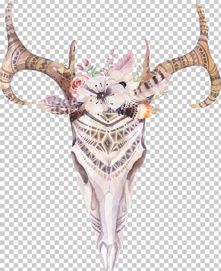 Cattle Cow's Skull: Red PNG, Clipart,  Free PNG Download