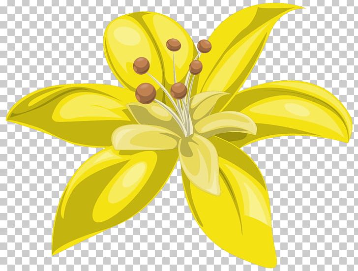 Flower Yellow Lilium PNG, Clipart, Computer Icons, Cut Flowers, Display Resolution, Flower, Flowering Plant Free PNG Download
