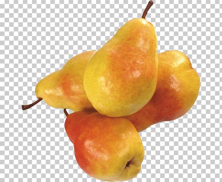 Pear Photography PNG, Clipart, Amygdaloideae, Apple, Armut, Food, Fruit Free PNG Download