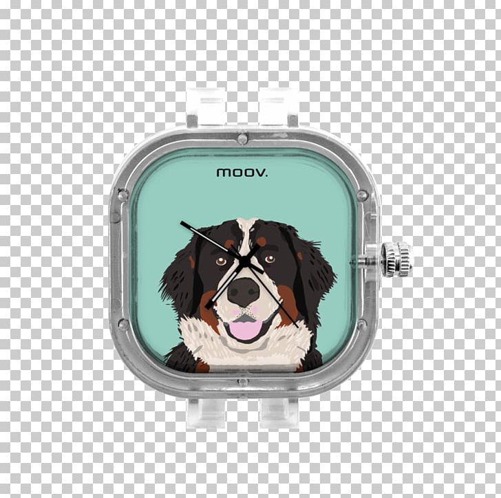 Puppy Moovwatches Bracelet Clock PNG, Clipart, Animals, Art, Australian Shepherd, Bag, Bernese Free PNG Download