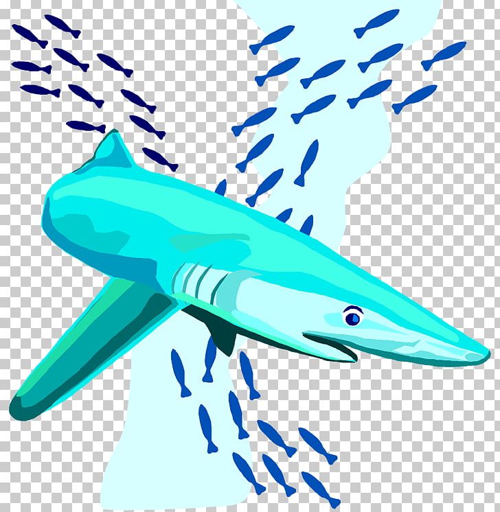 Shark Free Content PNG, Clipart, Airplane, Air Travel, Aqua, Area, Art Free PNG Download