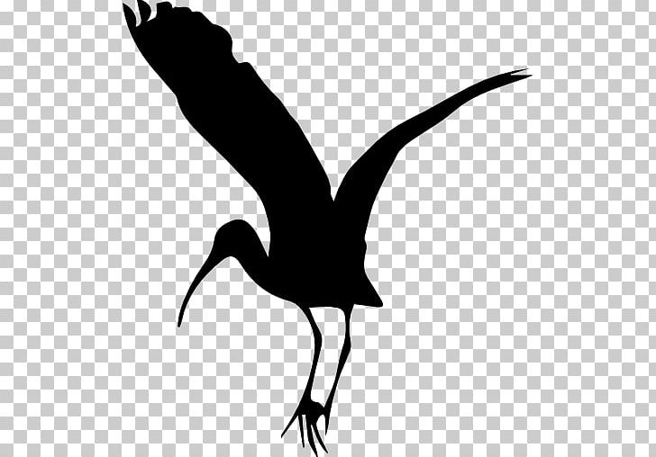 Bird Stork Computer Icons PNG, Clipart, Animal, Animals, Beak, Bird, Bird Flight Free PNG Download