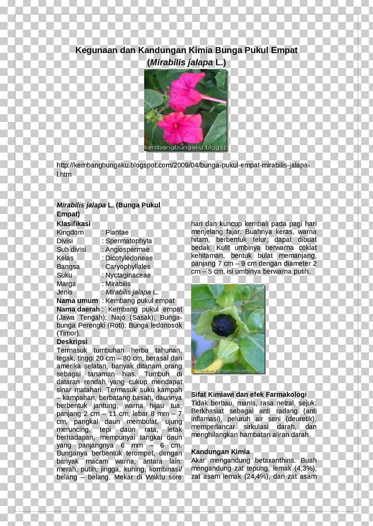 Brochure PNG, Clipart, Advertising, Brochure, Bunga, Document, Grass Free PNG Download