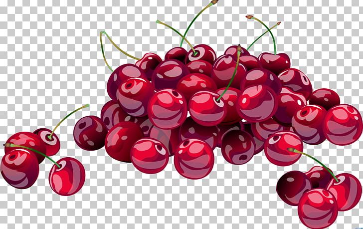 Cherries Jubilee Cherry PNG, Clipart, Berry, Blossom, Cherries Jubilee, Cherry, Cherry Blossom Free PNG Download