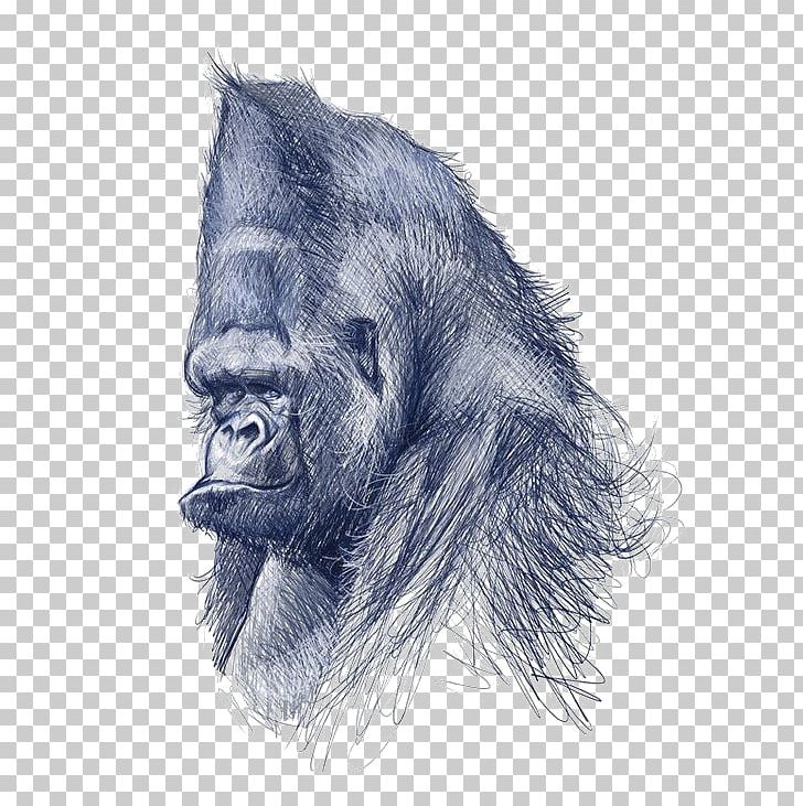 Common Chimpanzee Gorilla Drawing Art Illustration PNG, Clipart, Animal, Animals, Arts, Caricature, Chimpanzee Free PNG Download