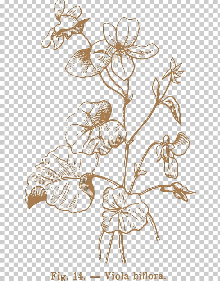 Floral Design Drawing PNG, Clipart, Area, Art, Artwork, Black And White, Branch Free PNG Download