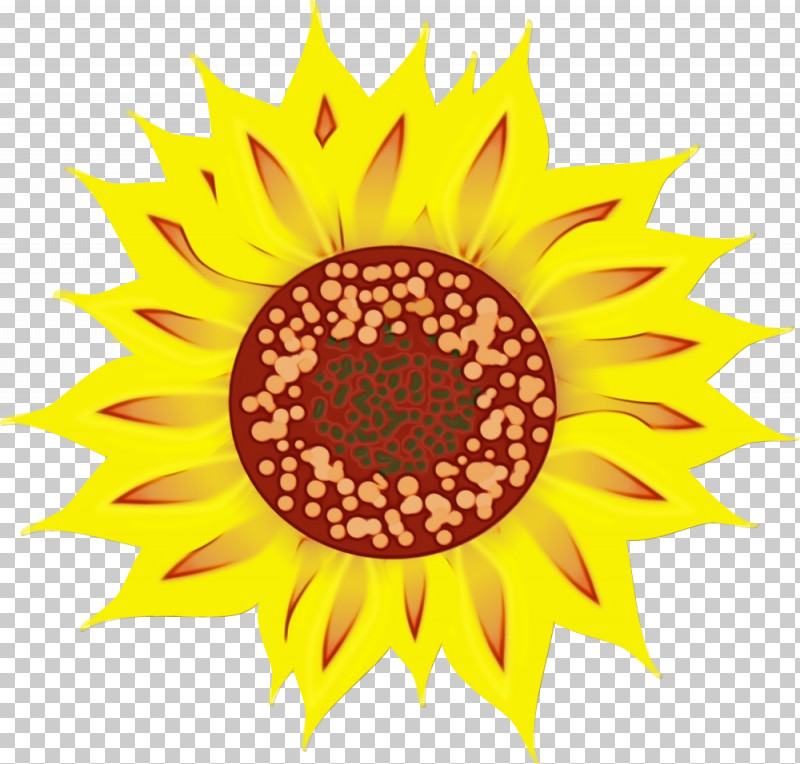 Sunflower PNG, Clipart, Paint, Sunflower, Symmetry, Watercolor, Wet Ink Free PNG Download