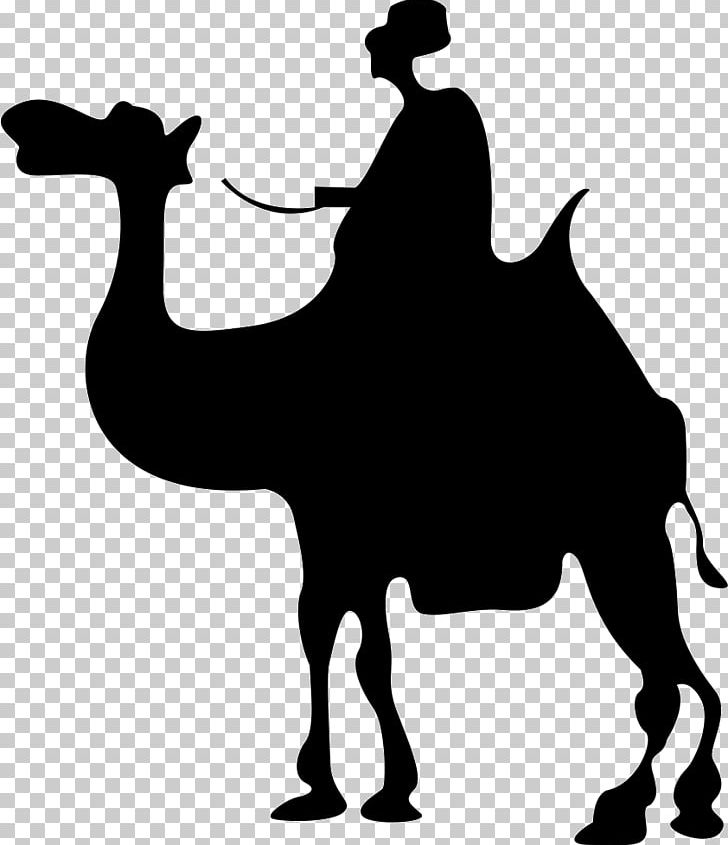Camel Silhouette PNG, Clipart, Animals, Black And White, Camel, Camel Like Mammal, Cdr Free PNG Download