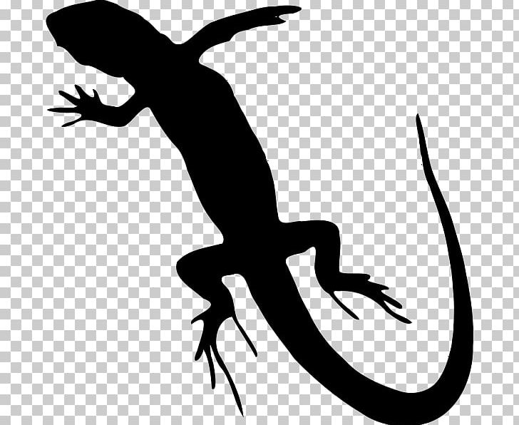 Lizard Reptile Central Bearded Dragon PNG, Clipart, Amphibian, Animals, Artwork, Bearded Dragons, Black And White Free PNG Download