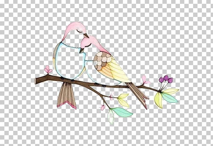 Lovebird Drawing Illustration PNG, Clipart, Art, Art Museum, Beak, Bird, Birds Free PNG Download