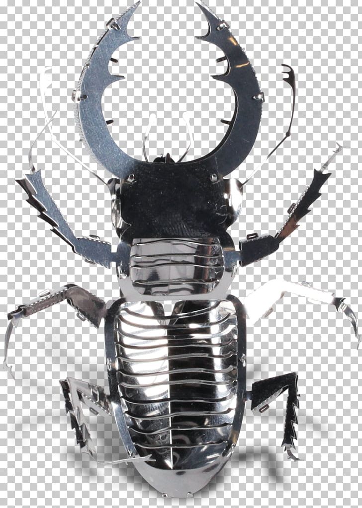Stag Beetle Hercules Beetle Metal Rhinoceros Beetles PNG, Clipart, Animals, Beetle, Decapoda, Exoskeleton, Forging Free PNG Download