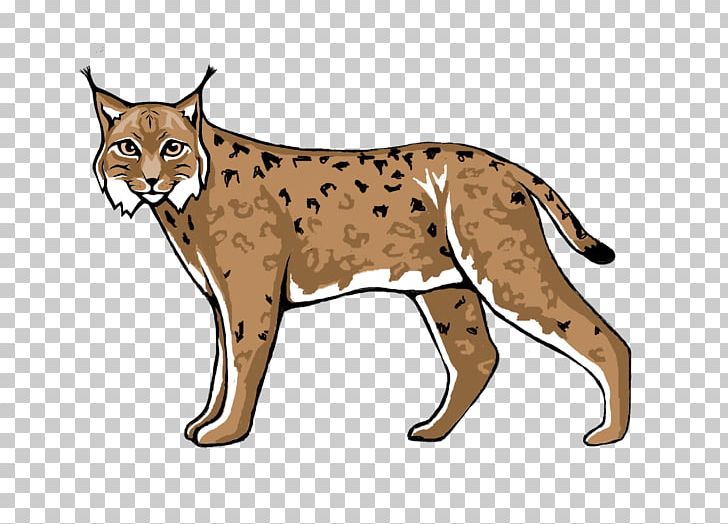 Wildcat Lynx Cougar Cheetah PNG, Clipart, Animal Figure, Animals, Big Cat, Big Cats, Biodiversity Free PNG Download