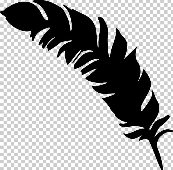 Feather Silhouette Drawing PNG, Clipart, Animals, Artwork, Beak, Black, Black And White Free PNG Download