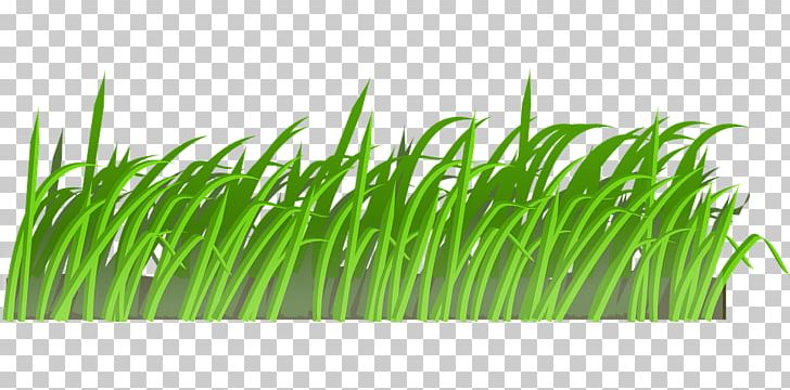 Lawn Cartoon PNG, Clipart, Art, Cartoon, Chrysopogon Zizanioides, Commodity, Download Free PNG Download
