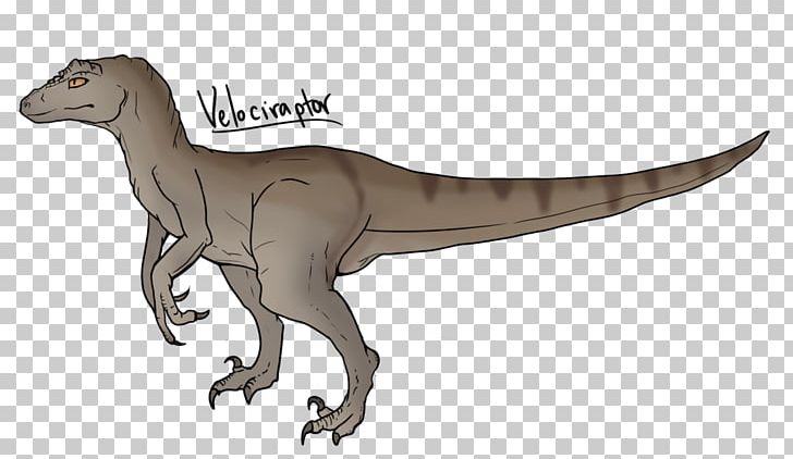 Velociraptor Tyrannosaurus Drawing Dinosaur PNG, Clipart, Animal, Animal Figure, Art, Art Museum, Coloring Pages Free PNG Download