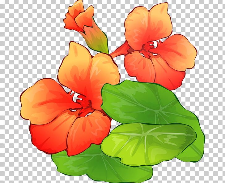 Flower Bouquet Summer PNG, Clipart, Annual Plant, Computer, Download, First Day Of Summer, Floral Design Free PNG Download