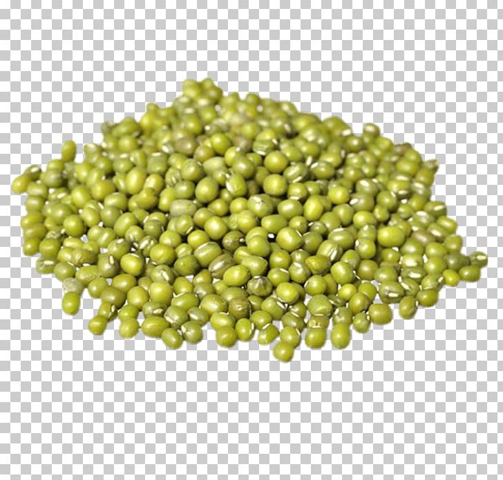 Sprouting Soybean Sprout Organic Food Mung Bean PNG, Clipart, Adzuki Bean, Barley, Bean, Beans, Bean Sprout Free PNG Download