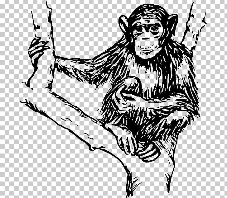 Ape Chimpanzee Monkey PNG, Clipart, Animals, Ape, Big Cats, Carnivoran, Cartoon Free PNG Download