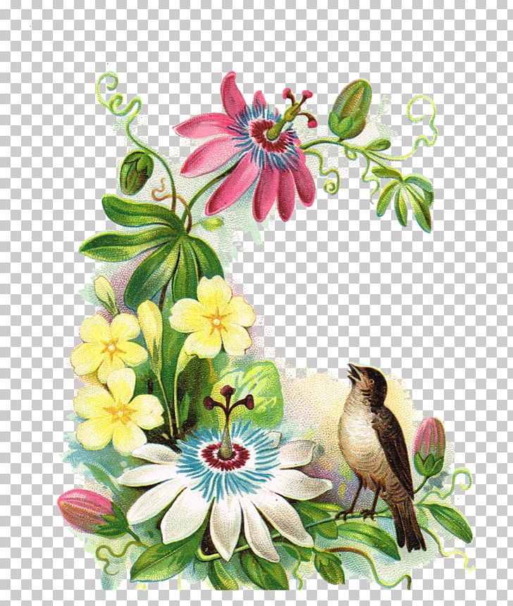 Art Flower Ephemera September PNG, Clipart, Art, Beak, Bird, Ephemera, Fauna Free PNG Download