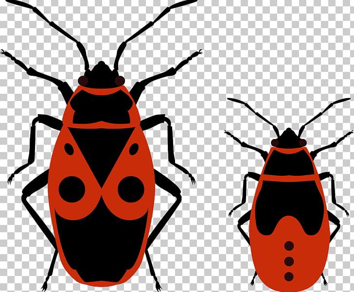 Beetle Pyrrhocoris Apterus Firebug PNG, Clipart, Animals, Artwork, Beetle, Bugs, Drawing Free PNG Download