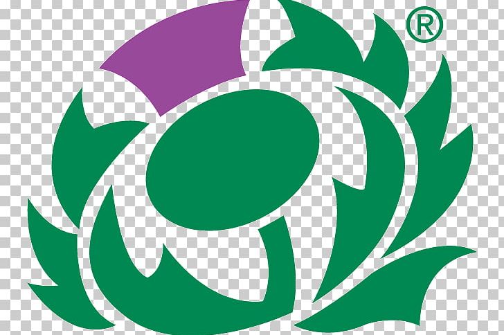 Scotland National Rugby Union Team Six Nations Championship Irish Rugby PNG, Clipart, Circle, Flower, Irish Rugby, Leaf, Logo Free PNG Download