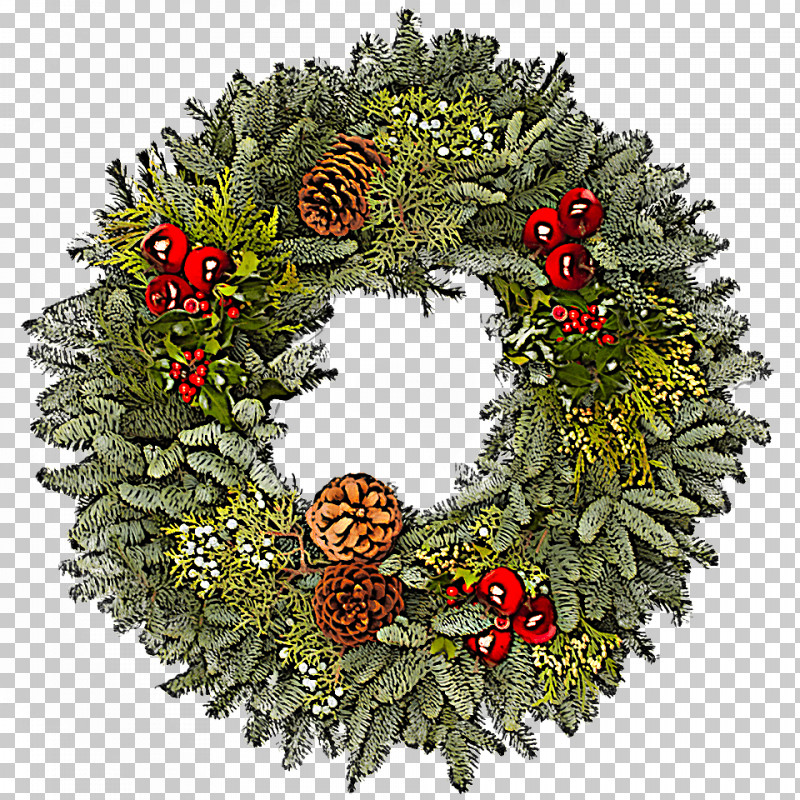 Christmas Decoration PNG, Clipart, Christmas Decoration, Conifer, Fir, Holly, Leaf Free PNG Download