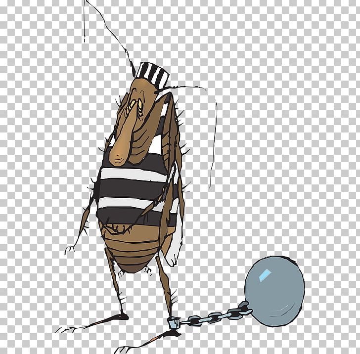 Ant Prisoner Insect Cockroach PNG, Clipart, Animals, Ant, Arthropod, Blattodea, Bug Free PNG Download