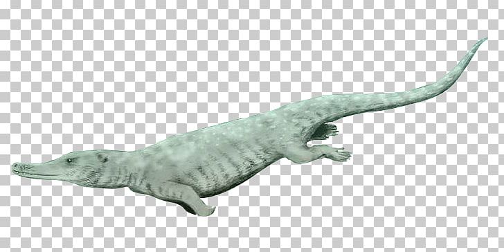 Crocodiles Marine Mammal Fauna Terrestrial Animal PNG, Clipart, Animal, Animal Figure, Aquatic Creature, Crocodiles, Crocodilia Free PNG Download