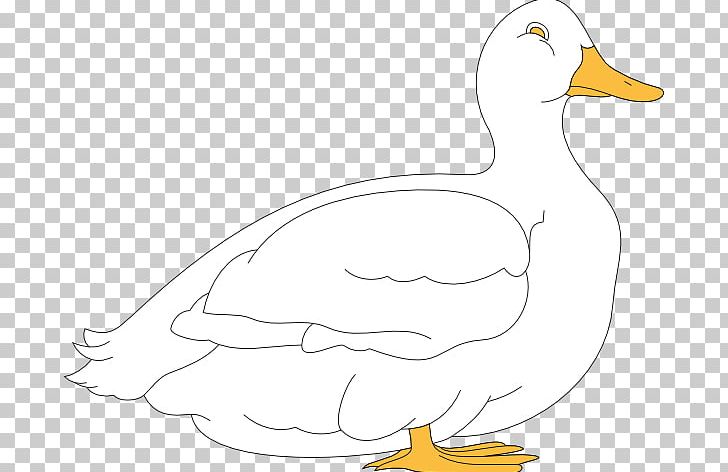 Duck Goose Cygnini Chicken PNG, Clipart, Artwork, Beak, Bird, Black And White, Chicken Free PNG Download