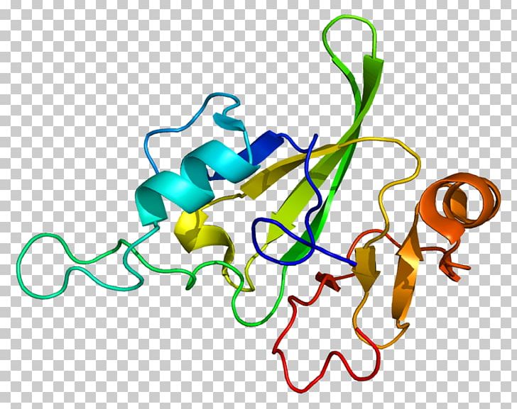 Transcription Factor Protein HMG-box HBP1 PNG, Clipart, Activator, Ap1 Transcription Factor, Area, Artwork, Body Jewelry Free PNG Download