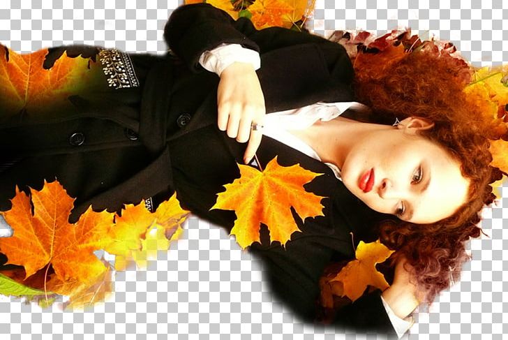 Autumn Color Video Im Poqrik Hayastan Hairstyle PNG, Clipart, Autumn, Color, Computer Wallpaper, Eye Shadow, Flower Free PNG Download