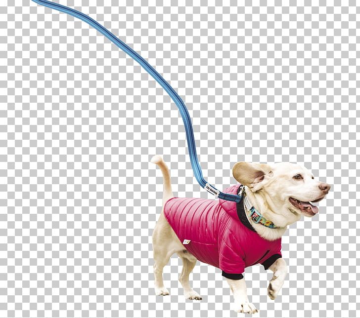 Dog Breed Leash Snout PNG, Clipart, Accessories Dog, Animals, Breed, Carnivoran, Dog Free PNG Download