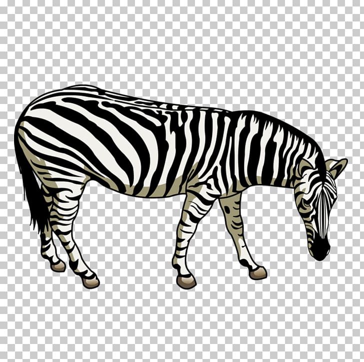 Quagga Horses Zebra Zebroid PNG, Clipart, Animal, Animal Figure, Animals, Art, Black And White Free PNG Download