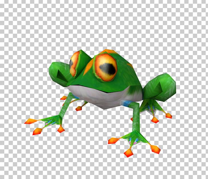 Tree Frog True Frog Toad PNG, Clipart, Amphibian, Animals, F D, Frog, Green Frog Free PNG Download