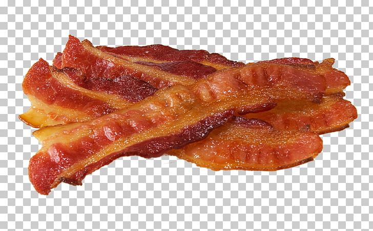 Bacon Fat Flavor Dog Biscuit PNG, Clipart, Animal Source Foods, Back Bacon, Bacon, Bacon Fat, Bacon Png Transparent Images Free PNG Download
