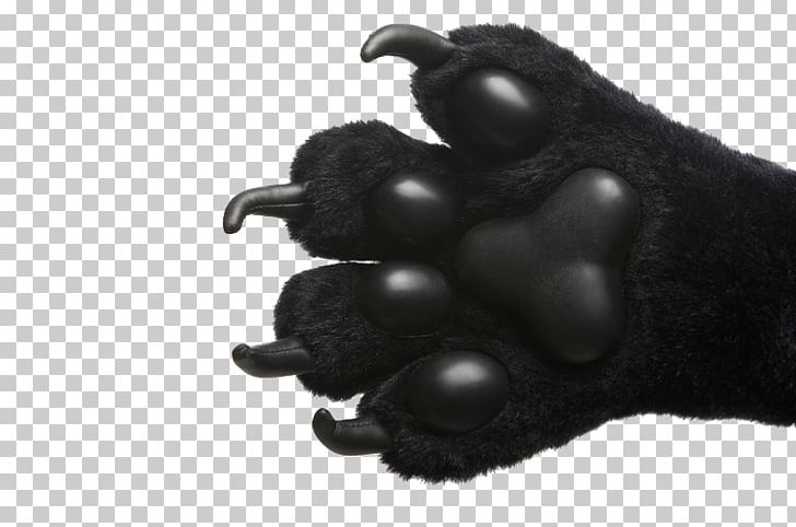 Bear Dog Claw Stock Photography PNG, Clipart, Alamy, Baby Bear, Bear, Bears, Black Free PNG Download