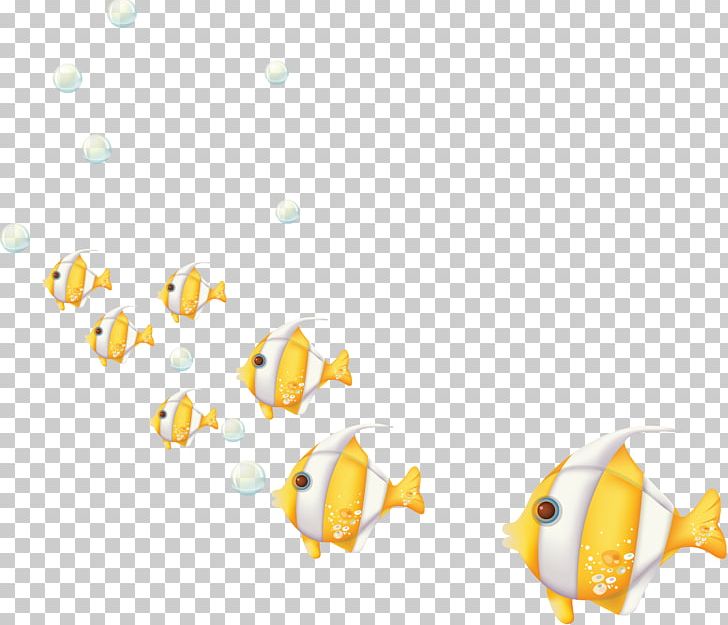 Fish Marine Biology Seabed PNG, Clipart, Animal, Animals, Biology, Blog, Clip Art Free PNG Download