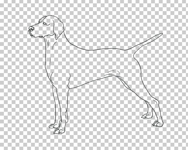 Harrier Puppy Dog Breed Sporting Group Retriever PNG, Clipart, Animals, Artwork, Black And White, Breed, Carnivoran Free PNG Download