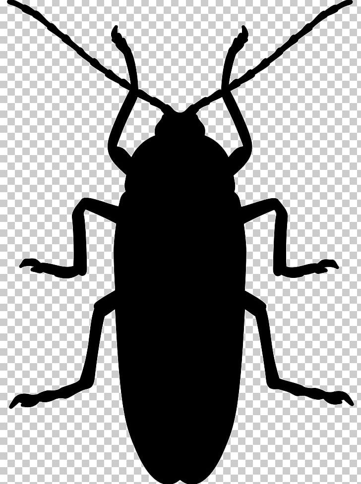 Cockroach Mosquito Beetle Silhouette Pest PNG, Clipart, Animal, Animals, Ant, Artwork, Beetle Free PNG Download
