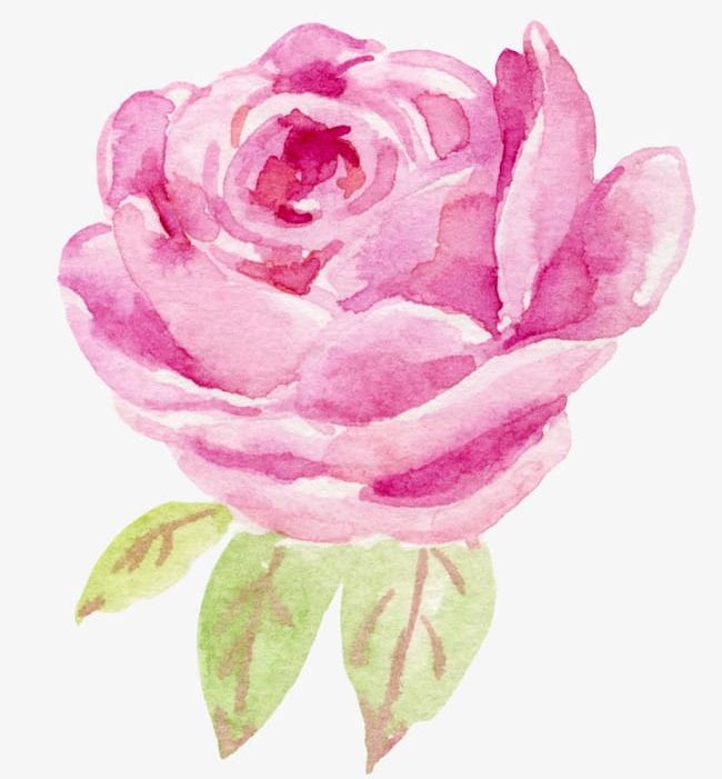Rose Watercolor Flowers PNG, Clipart, Flower, Flowers, Flowers Clipart, Flowers Clipart, Rose Free PNG Download