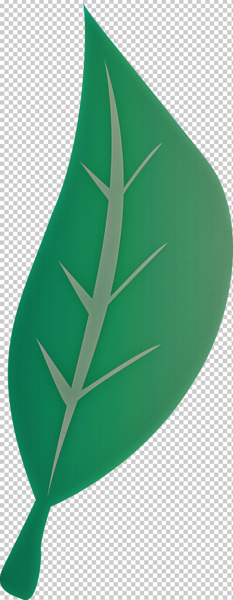 Monstera PNG, Clipart, Alocasia Odora, Biology, Dumb Canes, Flower, Guiana Chestnut Free PNG Download