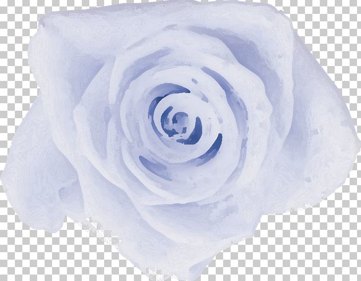 Garden Roses Cabbage Rose Blue Rose Cut Flowers Petal PNG, Clipart, Blue, Blue Rose, Cut Flowers, Flower, Flowering Plant Free PNG Download