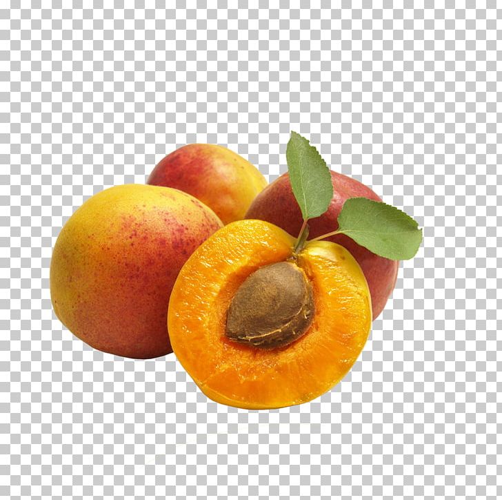 Fruit Apricot PNG, Clipart, Apricot, Download, Encapsulated Postscript, Food, Fruit Free PNG Download